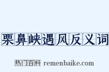 栗鼻峡遇风反义词是什么意思的图片